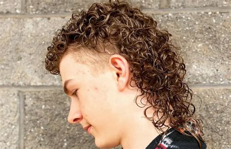 Curly Mullet Style Permed Mullet Hairstyles to Look Damn Cool in 2024